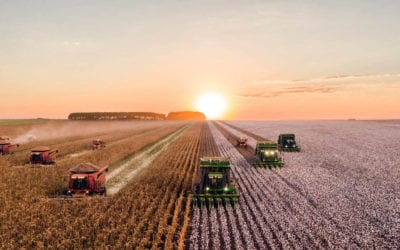 Reshaping The Agricultural Economy With Data-Driven Solutions