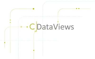 C|DataViews: Data Products in Financial Services